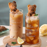 3D Bear Ice Mold
